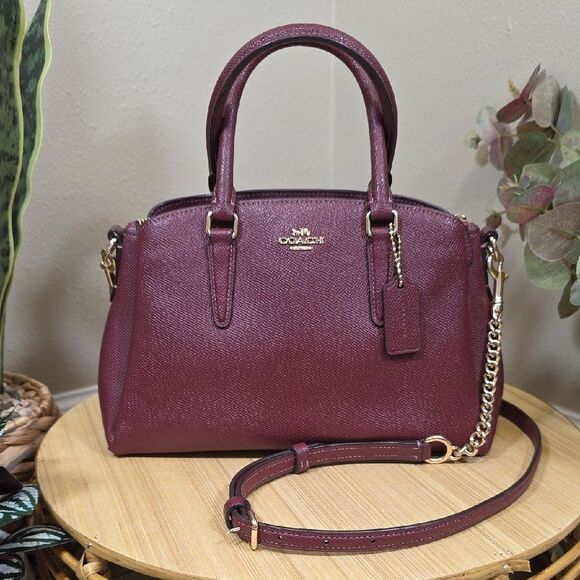 Coach Mini Sage Carryall and Wallet Set - Picture 3 of 14